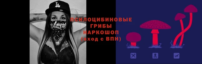 гашишное масло Нефтекумск