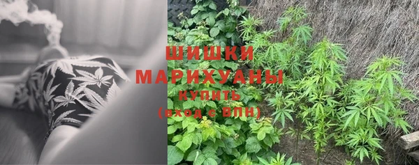 молекула духа Нея