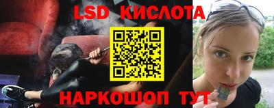 прущие грибы Канаш