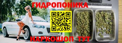 прущие грибы Канаш