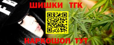 стафф Камышлов