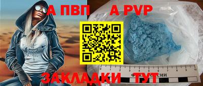 стафф Камышлов