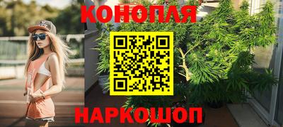 прущие грибы Канаш
