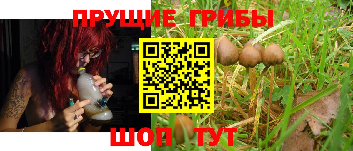 Псилоцибиновые грибы Cubensis  Вход с VPN  Армавир 